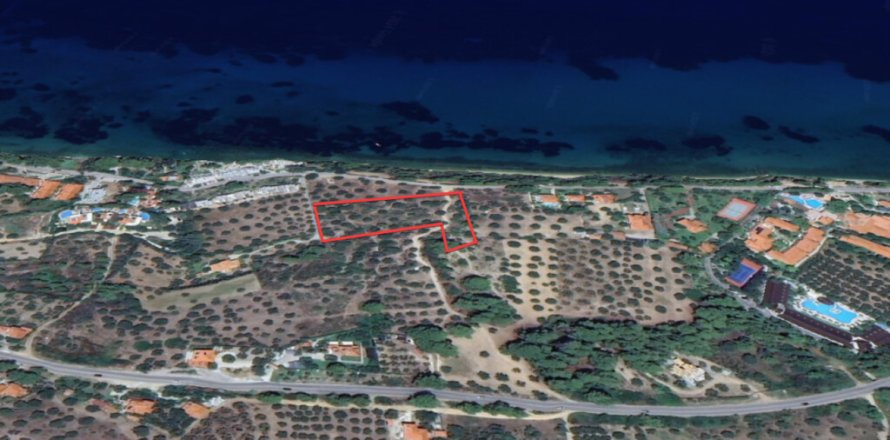 Земельный участок 4462м² в Халкидики, Греция №109297