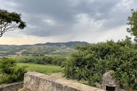 219m² House en Odenas, France No. 68114 1