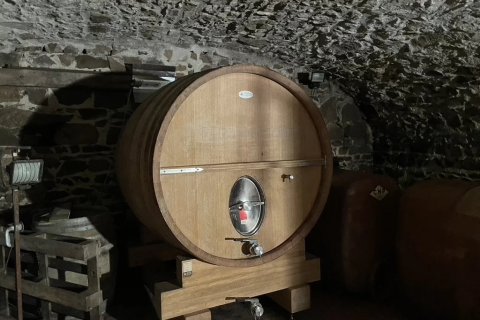 219m² House en Odenas, France No. 68114 4