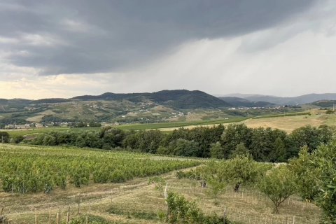 219m² House en Odenas, France No. 68114 3