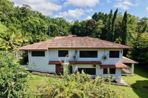 7 bedrooms House in Panama City, Panama No. 127773 23