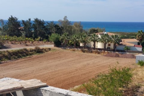 7 habitaciones Villa en Paphos, Cyprus No. 105509 6