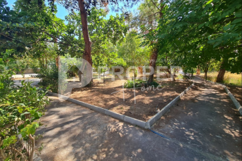 6 rooms Apartment in Thanh Khe, Vietnam No. 21969 17