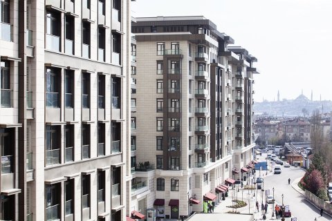 Apartamento tipo estudio Estudio en Thuy Nguyen, Vietnam No. 13253 4