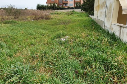 1000m² Land in Chalkidiki, Greece No. 109526 2