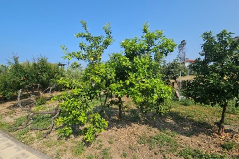 4 dormitorios Villa en Chalkidiki, Greece No. 104920 5