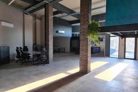 1067m² Commercial property in Nicosia, Cyprus No. 106400 6