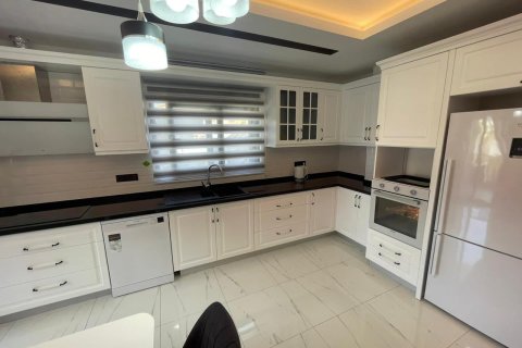 3 bedrooms Apartment in Chau Lang, Vietnam No. 11551 10