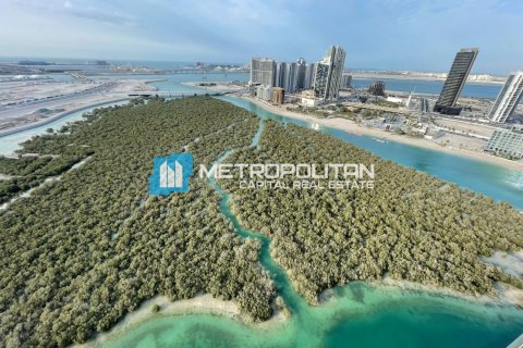 2 bedrooms Apartment in Al Reem Island, UAE No. 117323