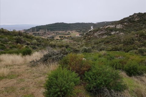 12500m² Land in Chalkidiki, Greece No. 57597 4