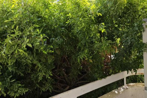 Квартира с 3 спальнями в Лимассол, Кипр №102000 15