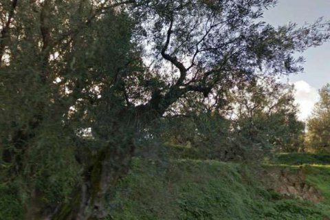 Земельный участок в Закинтос, Греция №24649 11