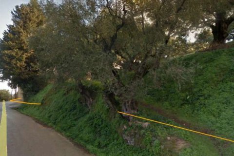 Земельный участок в Закинтос, Греция №24649 6