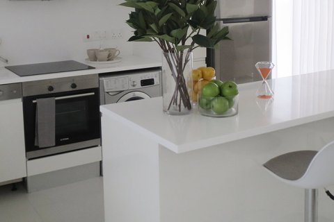 3 bedrooms Villa in Polis, Cyprus No. 28042 4