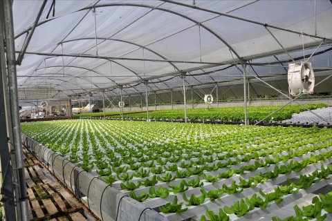 Готовый бизнес 115м² в Керкира, Греция №60079 2