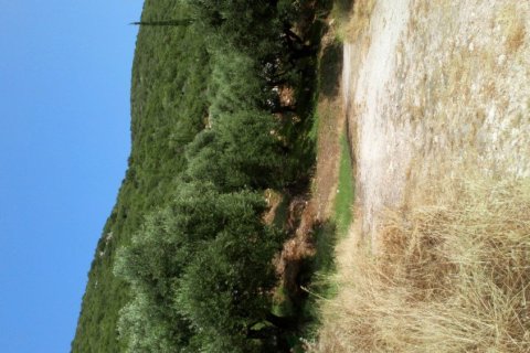 2 bedrooms House in Zakynthos, Greece No. 69606 18