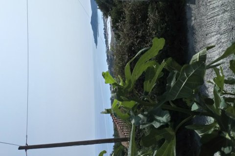 2 bedrooms House in Zakynthos, Greece No. 69606 19