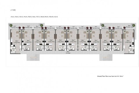 2 chambres Penthouse à Phu Ngai, Vietnam No. 11919 4