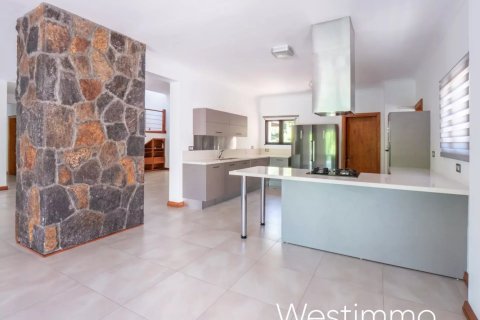 7 bedrooms House in Black River, Mauritius No. 53419 7