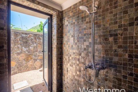 7 bedrooms House in Black River, Mauritius No. 53419 17