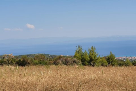 12000m² Land en Chalkidiki, Greece No. 56513 4