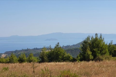 12000m² Land en Chalkidiki, Greece No. 56513 2