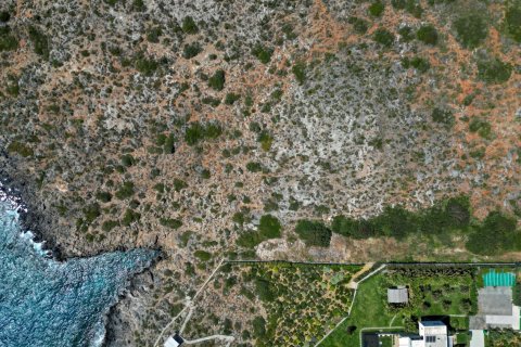 4088m² Land in Chania, Greece No. 23882 7