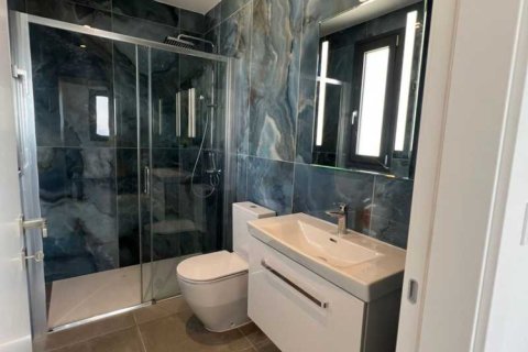 Дом с 4 спальнями в Агиос Афанасиос, Кипр №76013 11