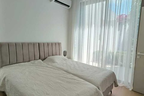 3 chambres Villa à Pegeia, Cyprus No. 63012 16