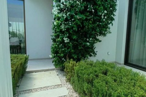 3 chambres Villa à Pegeia, Cyprus No. 63012 3