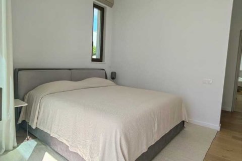 3 chambres Villa à Pegeia, Cyprus No. 63012 11