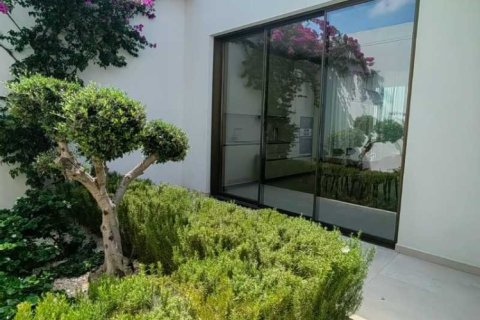 3 chambres Villa à Pegeia, Cyprus No. 63012 4