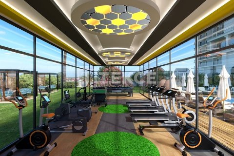 2 bedrooms Townhouse in Chau Lang, Vietnam No. 24954 3