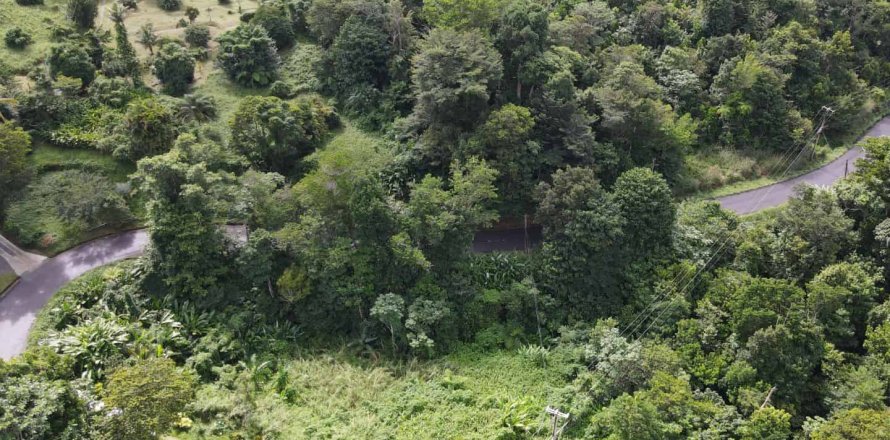 51597m² Land en Saint Paul, Dominica No. 66245