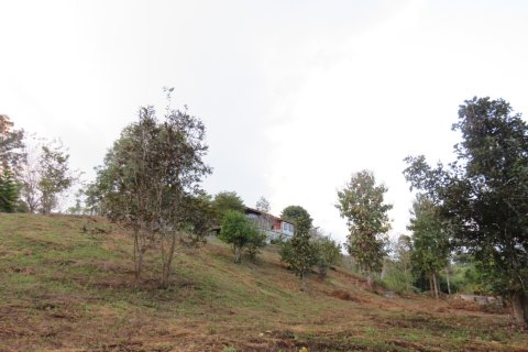 10 dormitorios House en Chiang Mai, Thailand No. 97523 30