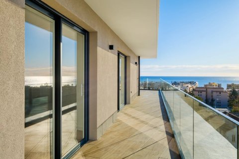 2 bedrooms Apartment in Roquebrune-Cap-Martin, France No. 68947 3