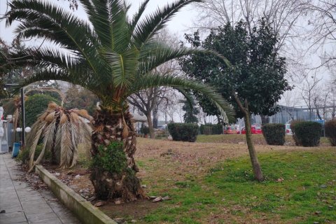 150m² Commercial property in Thessaloniki, Greece No. 109605 3