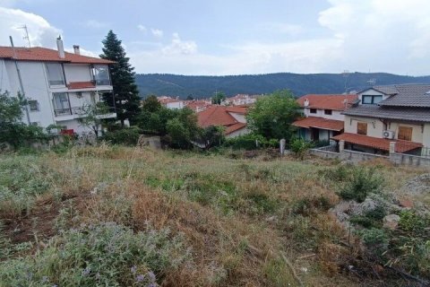 889m² Land in Pefka, Greece No. 54800 7