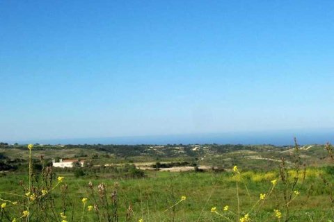 4 bedrooms House in Kathikas, Cyprus No. 39650 2