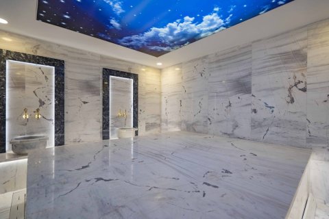 2 bedrooms Penthouse in Lien Chieu, Vietnam No. 13156 16