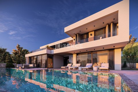 4 dormitorios Villa en Phuoc Tuy, Vietnam No. 88992 4