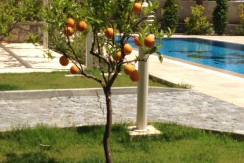 4 rooms Appartement à Nong Ha, Vietnam No. 17697 12