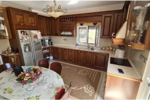 380m² Villa à Megara, Greece No. 116816 10