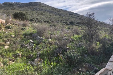 18000m² Land in Vamos, Greece No. 57613 4