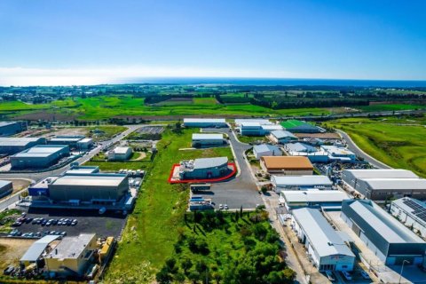 1210m² Commercial property in Paphos, Cyprus No. 105079 13