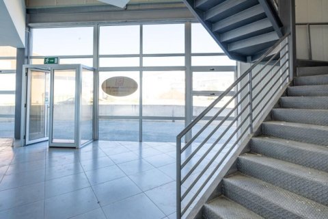 1210m² Commercial property in Paphos, Cyprus No. 105079 8