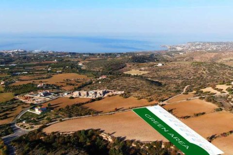 3 chambres Villa à Tala, Cyprus No. 65485 3