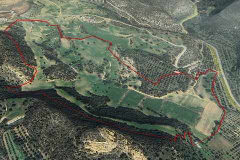 Commercial property in Agios Theodoros, Cyprus No. 83360 2