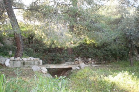 2 chambres House à Euboea, Greece No. 60314 6