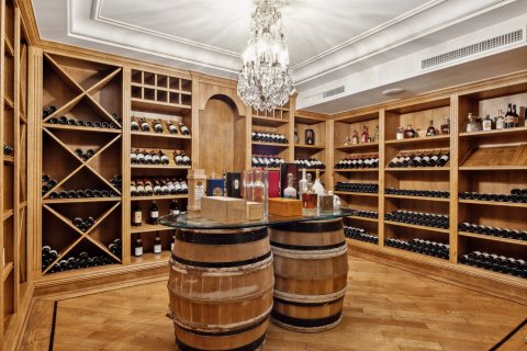 Вилла с 7 спальнями в Антиб, Франция №67968 5